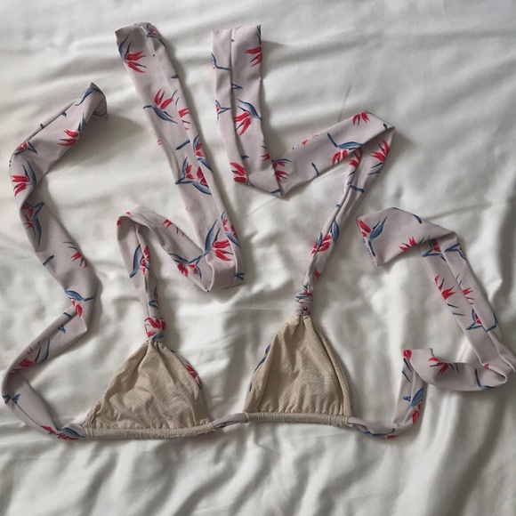 Small acacia bird of paradise acacia top - Picture 2 of 2